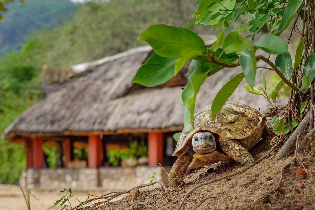 A Tropical Stop in Malawi