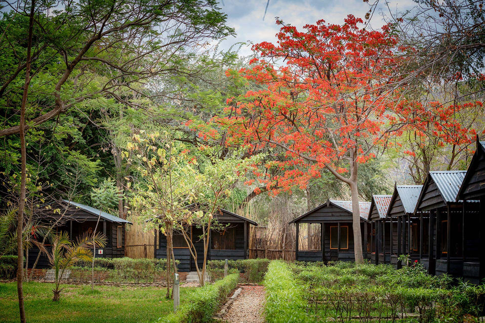 A Tropical Stop in Malawi
